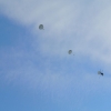 1st Operation Toy Drop 105